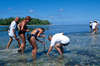 Alphonse Island Resort Deluxe 